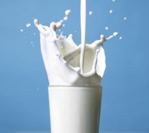 intolerância à lactose