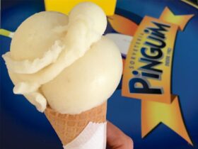 Onde comer sem lactose em São Luiz (MA)